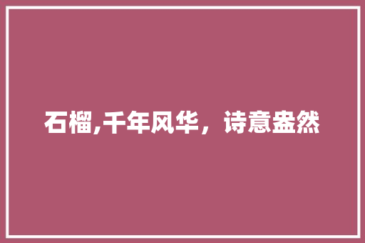 石榴,千年风华，诗意盎然