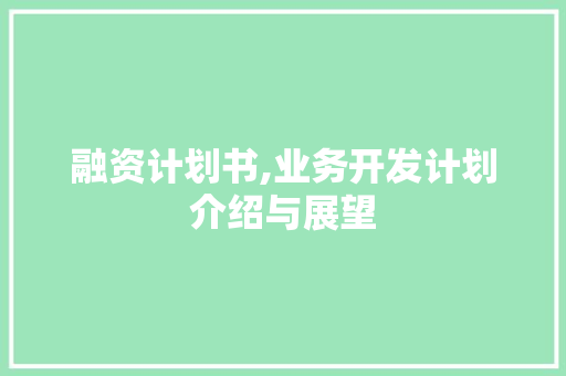 融资计划书,业务开发计划介绍与展望