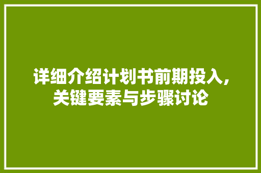 详细介绍计划书前期投入,关键要素与步骤讨论