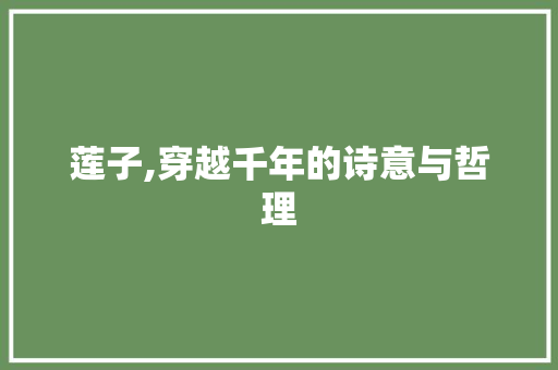 莲子,穿越千年的诗意与哲理
