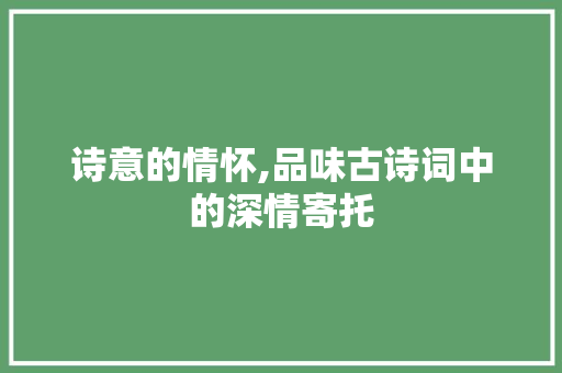 诗意的情怀,品味古诗词中的深情寄托