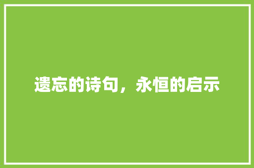 遗忘的诗句，永恒的启示
