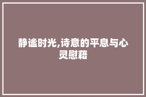 静谧时光,诗意的平息与心灵慰藉