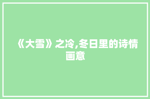 《大雪》之冷,冬日里的诗情画意