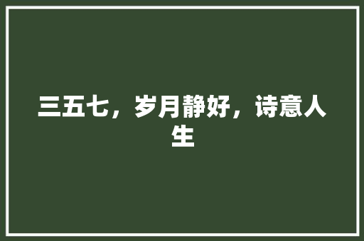 三五七，岁月静好，诗意人生