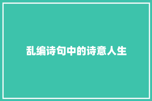 乱编诗句中的诗意人生