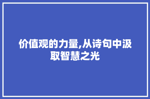 价值观的力量,从诗句中汲取智慧之光