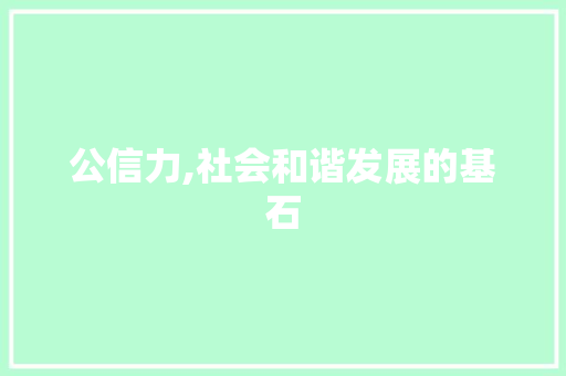 公信力,社会和谐发展的基石 工作总结