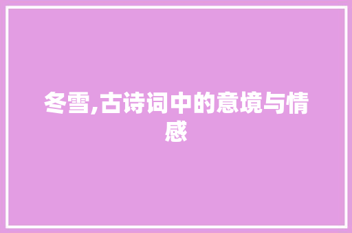 冬雪,古诗词中的意境与情感