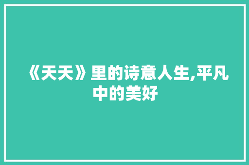 《天天》里的诗意人生,平凡中的美好