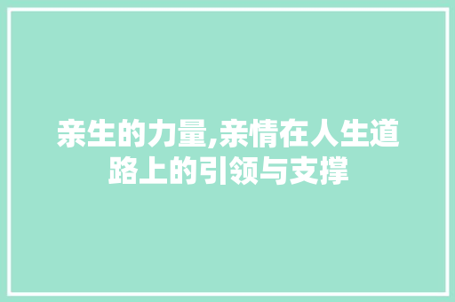 亲生的力量,亲情在人生道路上的引领与支撑
