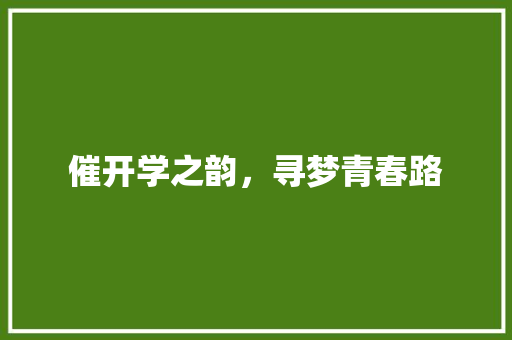 催开学之韵，寻梦青春路