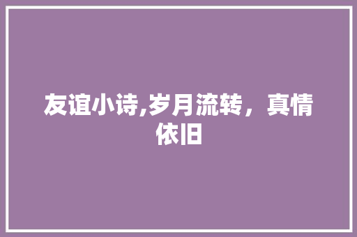 友谊小诗,岁月流转，真情依旧