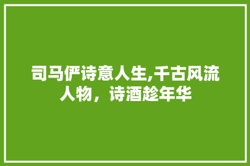 司马俨诗意人生,千古风流人物，诗酒趁年华
