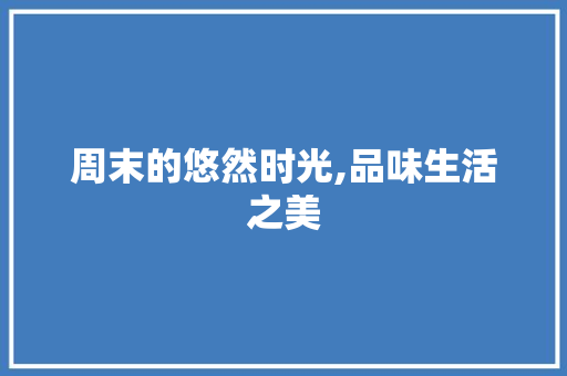 周末的悠然时光,品味生活之美