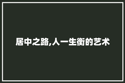 居中之路,人一生衡的艺术