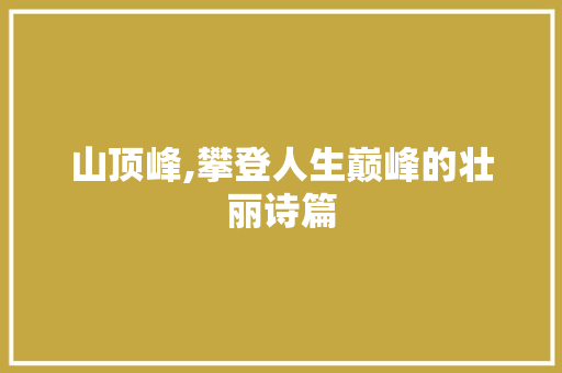 山顶峰,攀登人生巅峰的壮丽诗篇