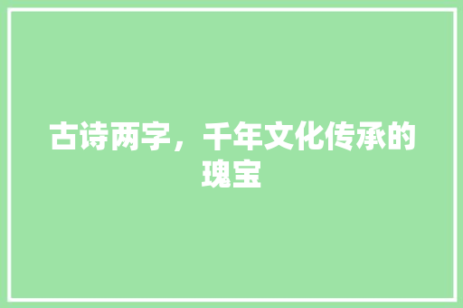 古诗两字，千年文化传承的瑰宝