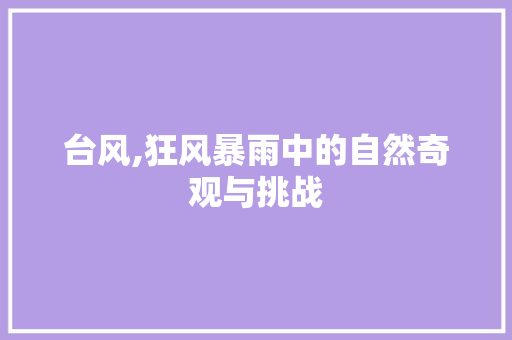 台风,狂风暴雨中的自然奇观与挑战