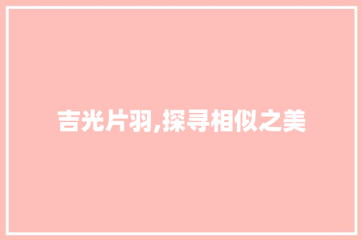 吉光片羽,探寻相似之美