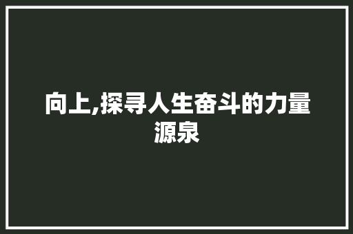 向上,探寻人生奋斗的力量源泉