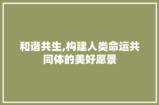 和谐共生,构建人类命运共同体的美好愿景