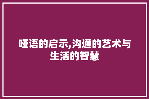 哑语的启示,沟通的艺术与生活的智慧