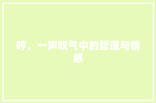 哼，一声叹气中的哲理与情感