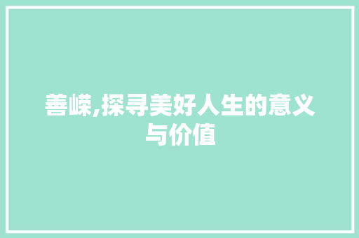 善嵘,探寻美好人生的意义与价值