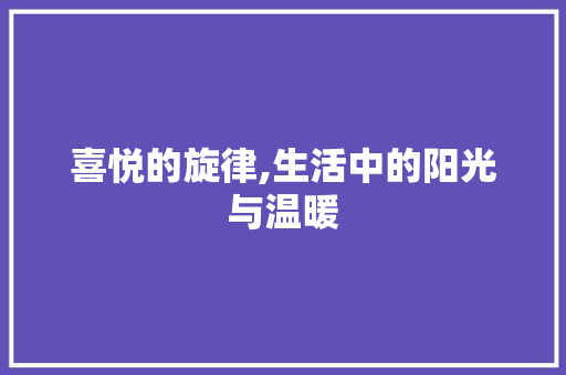 喜悦的旋律,生活中的阳光与温暖 生活感悟