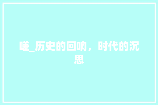 嗟_历史的回响，时代的沉思