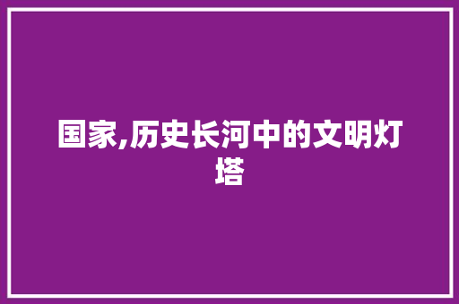 国家,历史长河中的文明灯塔