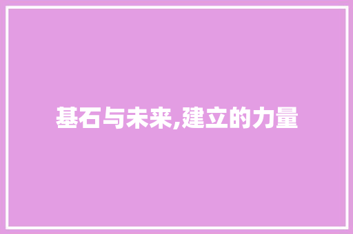 基石与未来,建立的力量