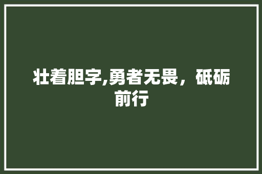 壮着胆字,勇者无畏，砥砺前行