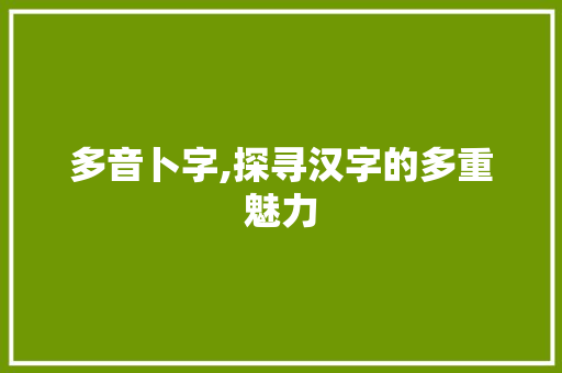 多音卜字,探寻汉字的多重魅力
