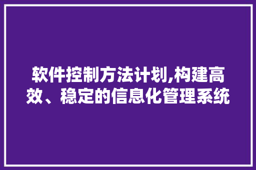软件控制方法计划,构建高效、稳定的信息化管理系统