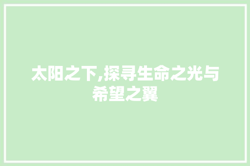 太阳之下,探寻生命之光与希望之翼