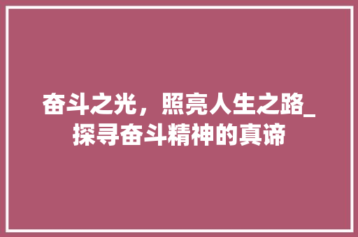 奋斗之光，照亮人生之路_探寻奋斗精神的真谛