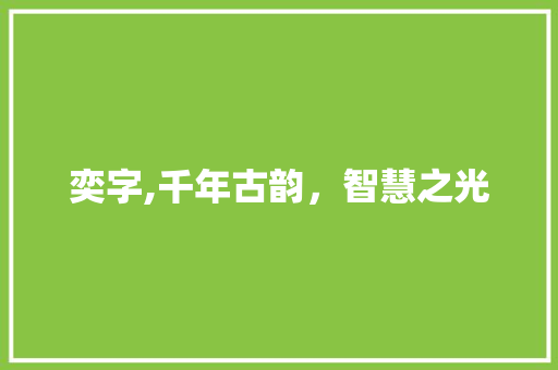 奕字,千年古韵，智慧之光