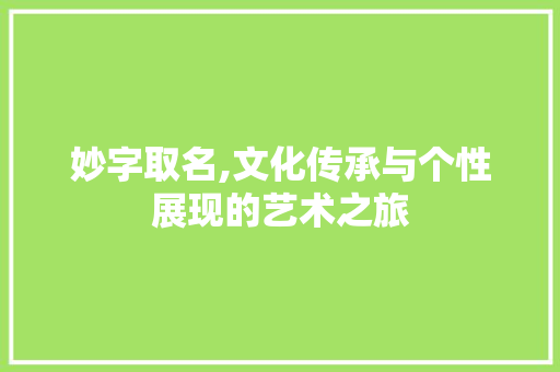 妙字取名,文化传承与个性展现的艺术之旅