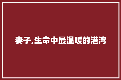 妻子,生命中最温暖的港湾