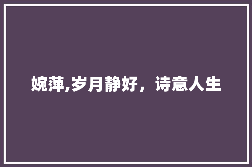 婉萍,岁月静好，诗意人生