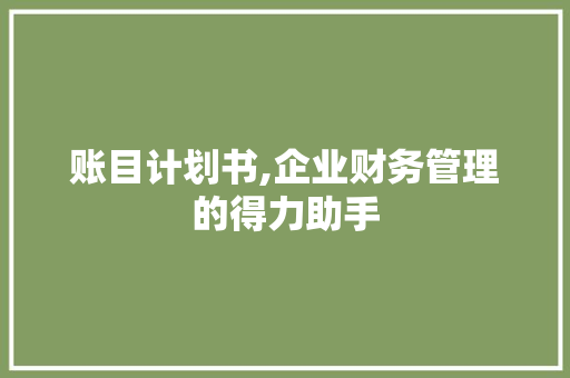 账目计划书,企业财务管理的得力助手