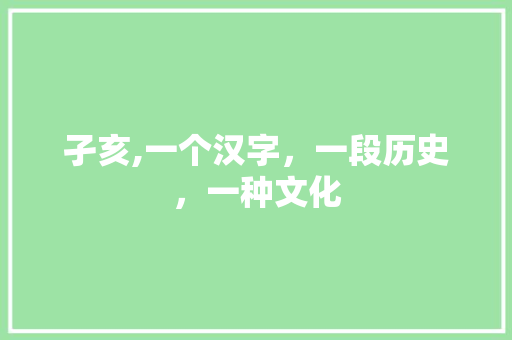 孑亥,一个汉字，一段历史，一种文化