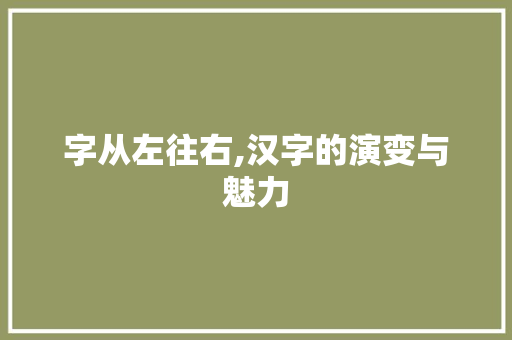 字从左往右,汉字的演变与魅力