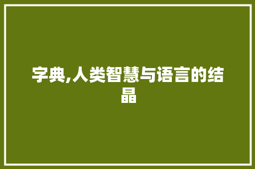 字典,人类智慧与语言的结晶