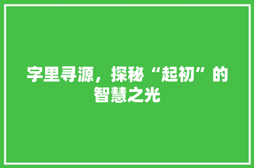 字里寻源，探秘“起初”的智慧之光