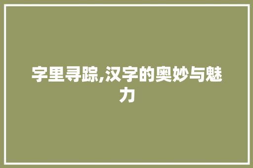 字里寻踪,汉字的奥妙与魅力