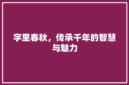 字里春秋，传承千年的智慧与魅力