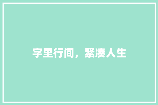 字里行间，紧凑人生